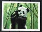 angola 1999 pf blok panda beren wildlife zoogdieren, Postzegels en Munten, Postzegels | Thematische zegels, Ophalen of Verzenden