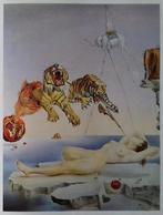 Salvador Dalí - The Masterworks, Gelezen, Schilder- en Tekenkunst, Verzenden