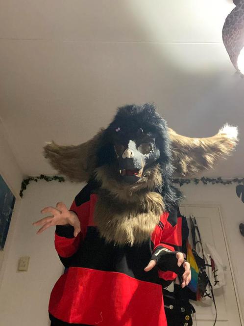 Fursuit for sale!, Hobby en Vrije tijd, Overige Hobby en Vrije tijd, Nieuw, Ophalen of Verzenden