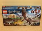 LEGO 75946 Harry Potter Hongaarse Hoornstaart Toverschool, Ophalen of Verzenden, Nieuw, Complete set, Lego