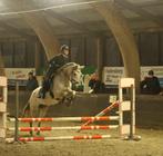 Verzorger aangeboden verzorgpony/paard gezocht, Dieren en Toebehoren, Ophalen of Verzenden