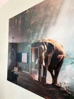 Glas schilderij olifant, 50 tot 75 cm, Ophalen of Verzenden, Zo goed als nieuw, 75 tot 100 cm