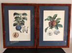 Twee notenhouten lijsten met vintage prent, Ophalen of Verzenden, Zo goed als nieuw, Hout, Minder dan 50 cm