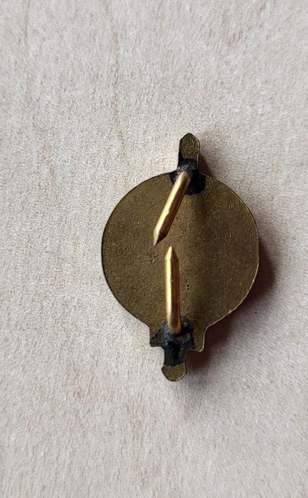 E Zwaard embleemb, Verzamelen, Militaria | Algemeen, Landmacht, Embleem of Badge, Nederland, Ophalen of Verzenden