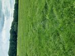 Hooibaaltjes hooibaal hooibalen paarden hooi paardehooi, Dieren en Toebehoren, Ophalen