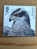 Engeland recent 2019 Roofvogels 1st Havik, Ophalen of Verzenden, Gestempeld