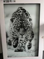 Glazen schilderij, Ophalen, Nieuw, Schilderij, 75 tot 100 cm