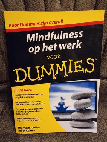 Juliet Adams - Mindfulness op het werk voor Dummies beschikbaar voor biedingen