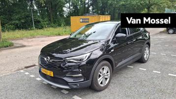 Opel Grandland X 1.2 Turbo Business Elegance | Navigatie | P beschikbaar voor biedingen