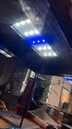 superfish aquarium, Dieren en Toebehoren, Ophalen, Zo goed als nieuw, Leeg aquarium