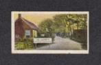 Verzamelplaatje Roonderveld bij Assen Woningen 1910., Ophalen of Verzenden, Zo goed als nieuw