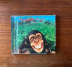 Cd the Supernaturals, Ophalen of Verzenden, Gebruikt, Poprock