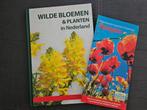 Wilde bloemen en planten, Ophalen of Verzenden, Nieuw, Bloemen, Planten en Bomen