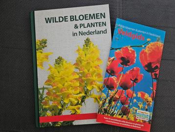 Wilde bloemen en planten beschikbaar voor biedingen
