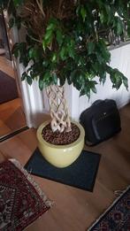 2 grote plantenpotten met geschiedenis (Garoeda), Ophalen, Rond, Binnen, Aardewerk