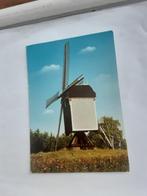 ZUNDERT M"DE AKKERMOLEN", Verzamelen, Ansichtkaarten | Nederland, Ophalen of Verzenden