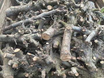 Droog Perenhout - Haardhout & Decoratie beschikbaar voor biedingen