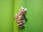 Mooie Zilveren Ring - Grote Kikker, Ophalen of Verzenden, Zilver, Ring
