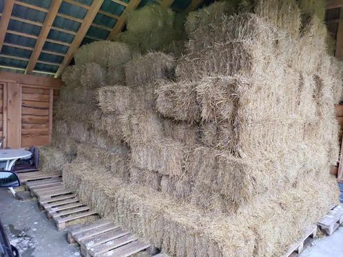 Te koop: hooi, Dieren en Toebehoren, Dierenvoeding, Vee, Ophalen