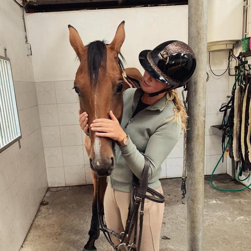 Instructie angst en trauma ruiter en paard., Dieren en Toebehoren, Paarden en Pony's | Overige Paardenspullen, Nieuw, Ophalen of Verzenden