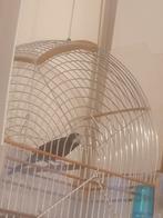 Te koop een heel erg mooi twatwa.eerste rep, Meerdere dieren