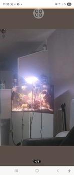 Red Sea 170 XL compleet zeeaquarium – direct starten!, Dieren en Toebehoren, Vissen | Aquaria en Toebehoren, Ophalen of Verzenden