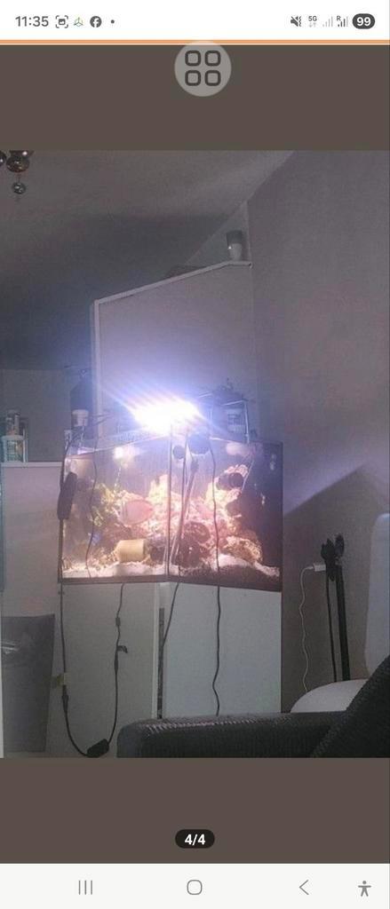Red Sea 170 XL compleet zeeaquarium – direct starten!, Dieren en Toebehoren, Vissen | Aquaria en Toebehoren, Zo goed als nieuw