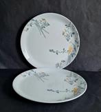 Villeroy&Boch Vivo limited Edition twee diner pauwenborden., Ophalen of Verzenden, Porselein, Overige stijlen, Bord(en)