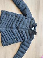 Cars Dames Winterjas Maat XL - donkerblauw, Kleding | Dames, Jassen | Winter, Blauw, Maat 46/48 (XL) of groter, Ophalen of Verzenden