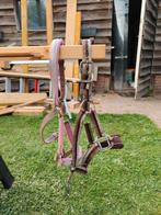 Halsters paard, Dieren en Toebehoren, Ophalen of Verzenden, Gebruikt, Overige soorten