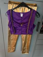 Harem Pakje Carnaval Maat 40/42, Maat 38/40 (M), Carnaval, Nieuw, Ophalen of Verzenden