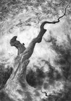 Grafisch Ontwerp - Dan Eremciuc, Ophalen of Verzenden