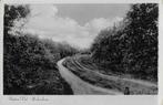 Pa1207 oude gelopen ansichtkaart putten veluwe hakscheer, Verzenden, 1940 tot 1960, Gelopen, Gelderland