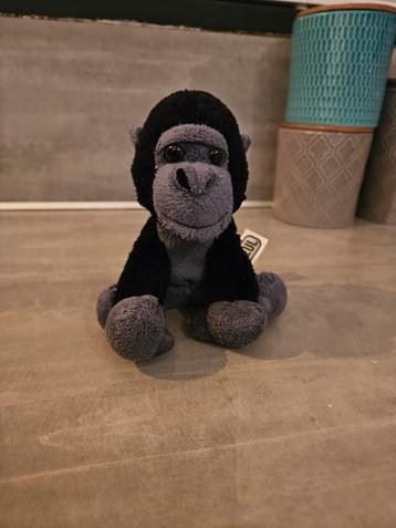 Schattige Knuffel Aap beschikbaar voor biedingen