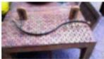 Kapstok metaal lengte 80 cm + 6 kleerhangers., Huis en Inrichting, Woonaccessoires | Kapstokken, Wandkapstok, Ophalen of Verzenden