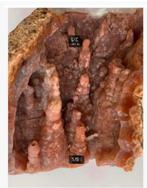 Roze amethist met Chalcedoon, druipsteen 6 x 6 cm, Verzamelen, Mineralen en Fossielen, Ophalen of Verzenden