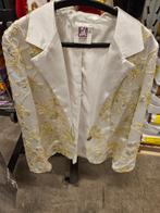 Carnaval kleding, Kleding | Heren, Ophalen of Verzenden, Gedragen, Carnaval