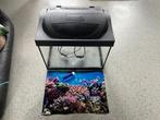 TETRA Aquarium Starter Line 41x30x25cm = 30L, Dieren en Toebehoren, Ophalen, Gebruikt, Leeg aquarium