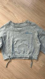 Sweater Silvercreek, Kleding | Dames, Silver Creek, Ophalen of Verzenden, Zo goed als nieuw, Maat 36 (S)