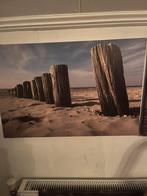 Canvas schilderij, Antiek en Kunst, Ophalen of Verzenden