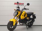 Honda MSX 125 GROM HONDA MSX 125 GROM (bj 2023), Bedrijf, Mc.benelux@honda-eu.com, Naked bike, Doornveld 180 - 184
B-1731  Zellik, BE