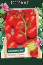 Stekjes tomatenplant, Zomer, Ophalen, Volle zon