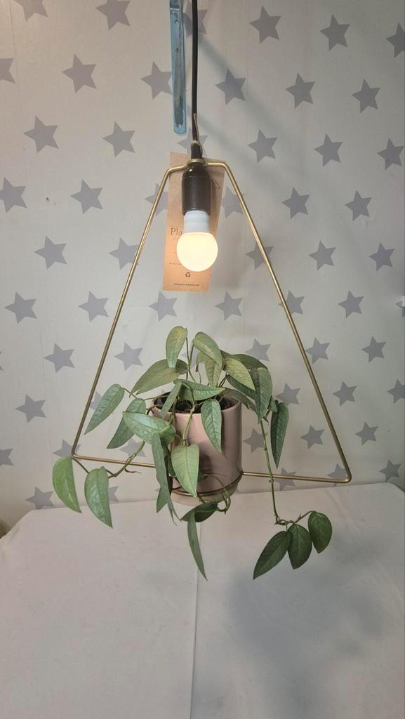 Plantoophile Hanglamp Triangle roze, Huis en Inrichting, Lampen | Hanglampen, Nieuw, Minder dan 50 cm, Metaal, Verzenden