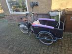 Johnny Loco Elektrische Bakfiets (zonder boardcomputer), Ophalen, 4 kinderen of meer, Gebruikt, Elektrisch