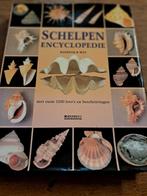 K.R. Wye - Schelpenencyclopedie, Boeken, Natuur, Ophalen of Verzenden, K.R. Wye, Zo goed als nieuw