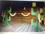 Limbo cactus te huur € 10,- limbo dansen huren - hawaii, Ophalen, Zo goed als nieuw