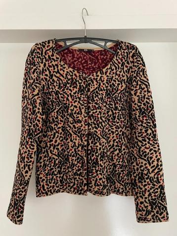 KFG: apart heerlijk warm en zacht vestje in maat S beschikbaar voor biedingen