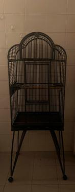 Mooi grote vogelkooi., Dieren en Toebehoren, Ophalen, Zo goed als nieuw, Metaal, Vogelkooi