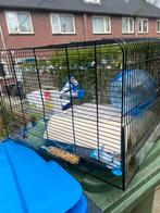 Hamsterkooi met bijbehorende spullen, Vogelkooi, Metaal, Zo goed als nieuw, Ophalen