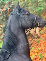 Hoofdstel full, Dieren en Toebehoren, Paarden en Pony's | Hoofdstellen en Tuigage, Ophalen of Verzenden, Gebruikt, Dressuur